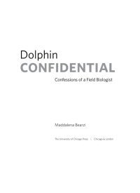 Imagen de portada: Dolphin Confidential 1st edition 9780226040158