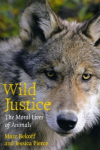Cover image: Wild Justice 1st edition 9780226041636