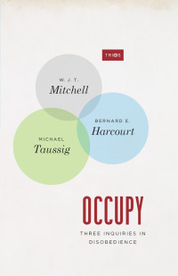 Immagine di copertina: Occupy 1st edition 9780226042602