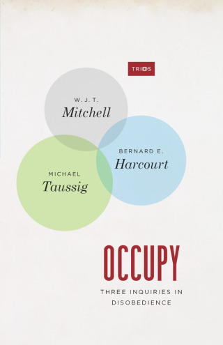 Cover image: Occupy 1st edition 9780226042602