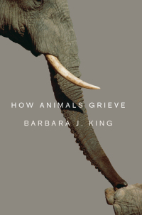 Cover image: How Animals Grieve 1st edition 9780226436944