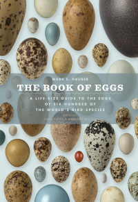 Cover image: The Book of Eggs 1st edition 9780226057781