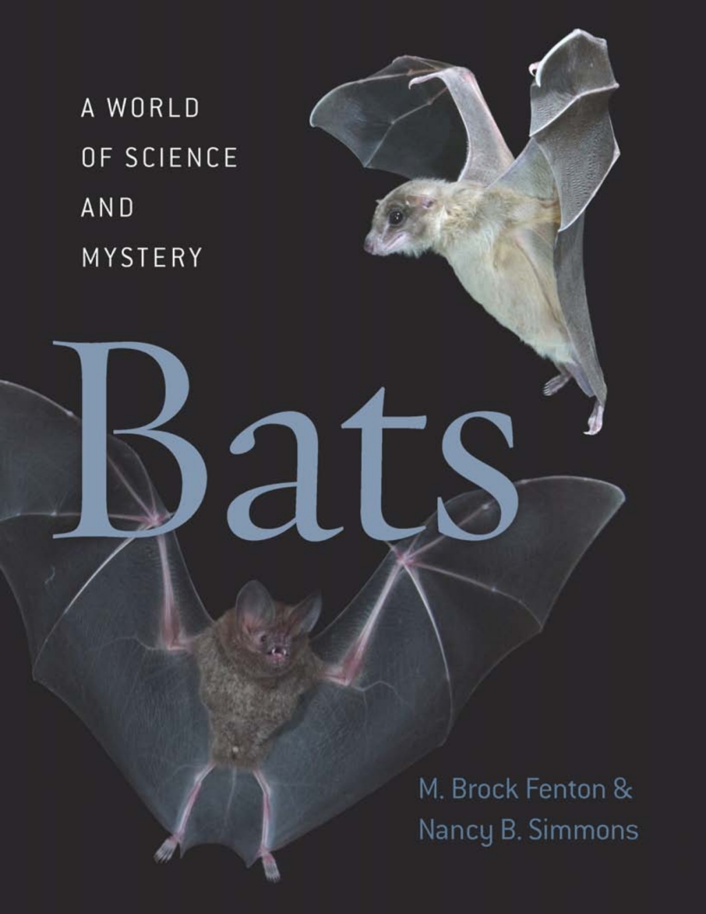 Bats A World of Science and Mystery 1st Edition