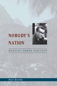 Immagine di copertina: Nobody's Nation 1st edition 9780226074269