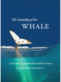 Omslagafbeelding: The Sounding of the Whale 1st edition 9780226100579