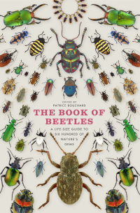 Cover image: The Book of Beetles 1st edition 9780226082752