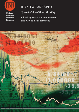 صورة الغلاف: Risk Topography 1st edition 9780226077734