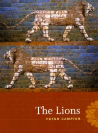 Cover image: The Lions 1st edition 9780226093109