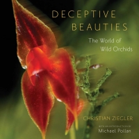 Immagine di copertina: Deceptive Beauties 1st edition 9780226982977