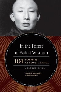 Titelbild: In the Forest of Faded Wisdom 1st edition 9780226104522