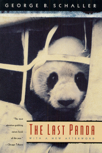 Imagen de portada: The Last Panda 9780226736280
