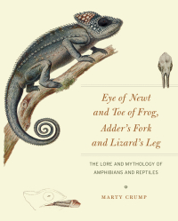 Cover image: Eye of Newt and Toe of Frog, Adder's Fork and Lizard's Leg 1st edition 9780226836645
