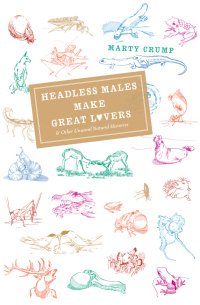 Immagine di copertina: Headless Males Make Great Lovers 1st edition 9780226121994