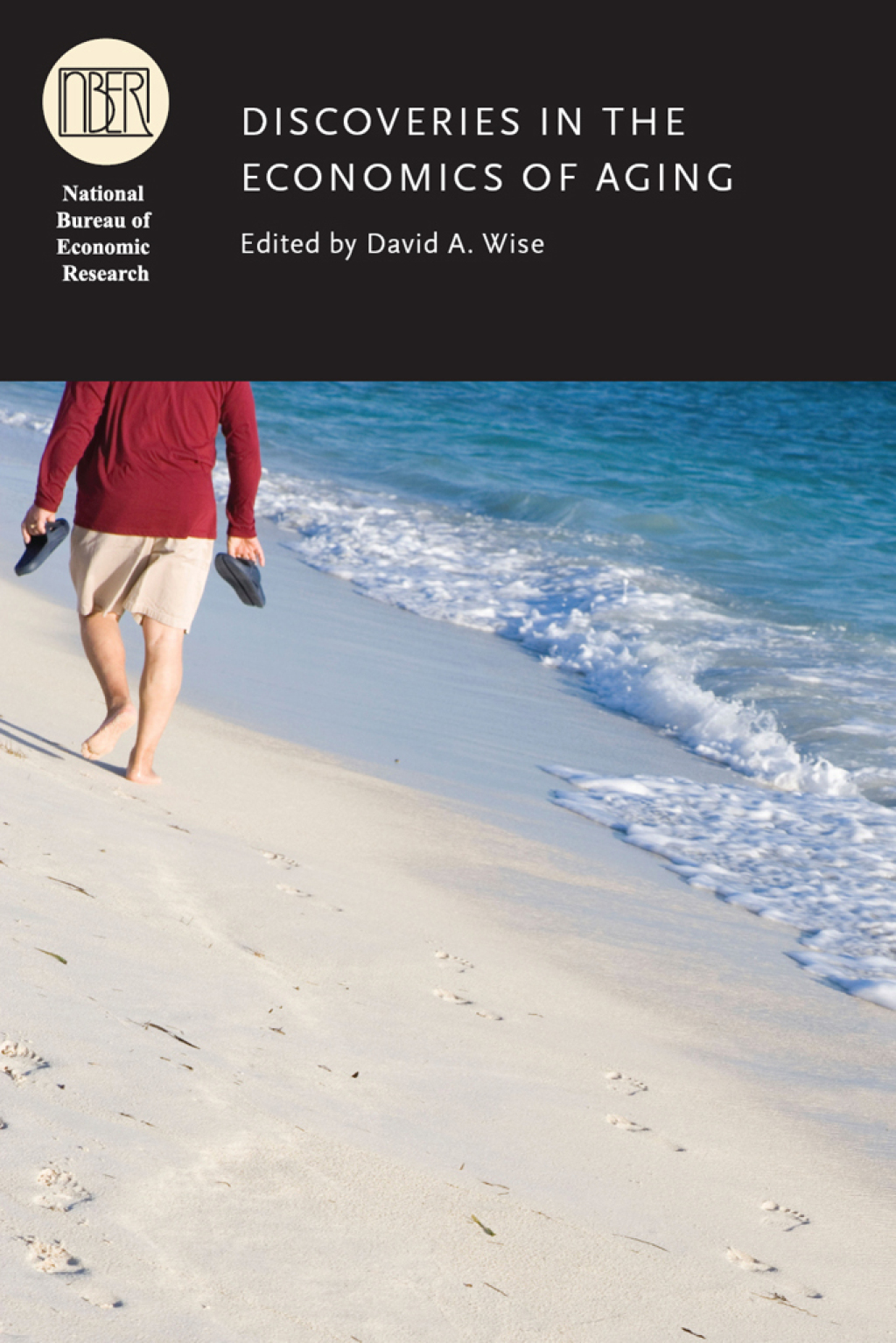 Discoveries in the Economics of Aging 1st Edition