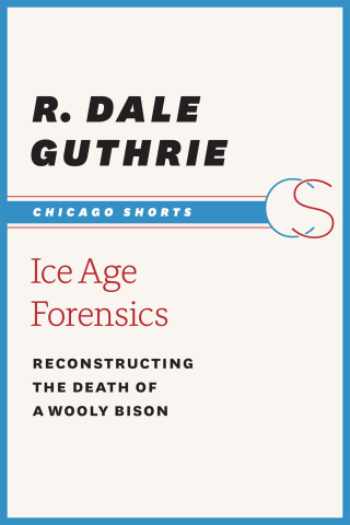Cover image: Ice Age Forensics 1st edition N/A