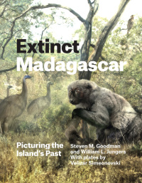 Cover image: Extinct Madagascar 1st edition 9780226143972