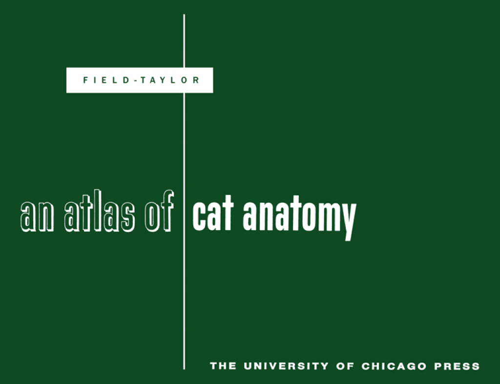 An Atlas of Cat Anatomy 22nd Edition