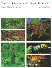 صورة الغلاف: Costa Rican Natural History 1st edition 9780226393322