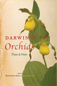 Cover image: Darwin's Orchids 1st edition 9780226044910
