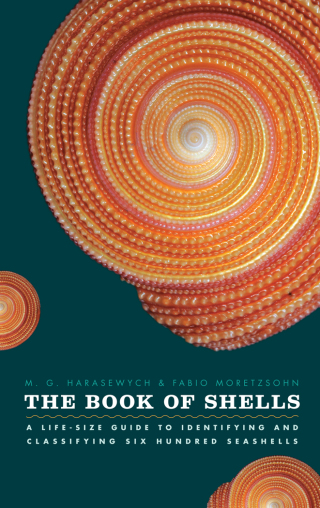 Cover image: The Book of Shells 1st edition 9780226315775
