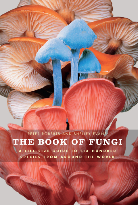 The Book of Fungi: A Life-Size Guide to Six Hundred Species from around the World, 1st Edition - FULL INSTANT DOWNLOAD | PDF DOCX EPUB