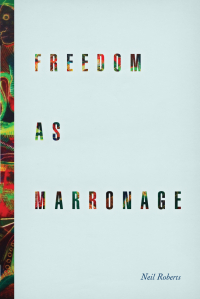 Cover image: Freedom as Marronage 1st edition 9780226127460