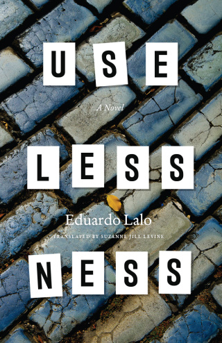 Cover image: Uselessness 1st edition 9780226207797