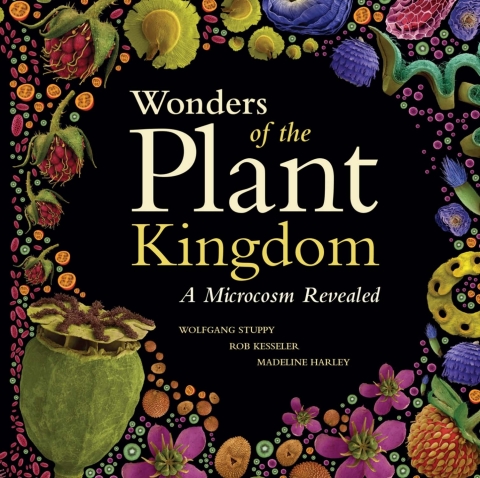 Wonders of the Plant Kingdom: A Microcosm Revealed - FULL INSTANT DOWNLOAD | PDF DOCX EPUB
