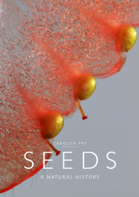 Cover image: Seeds 1st edition 9780226224350