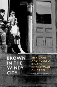 Immagine di copertina: Brown in the Windy City 1st edition 9780226212845