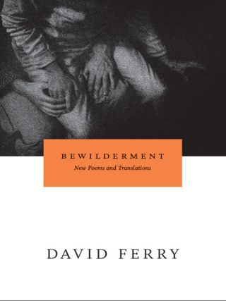 Cover image: Bewilderment 1st edition 9780226244884