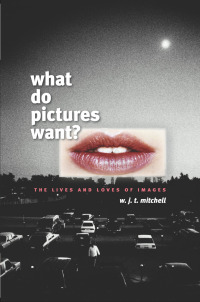 Immagine di copertina: What Do Pictures Want? 1st edition 9780226532486