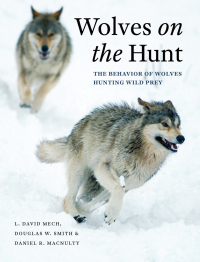 Cover image: Wolves on the Hunt 1st edition 9780226255149