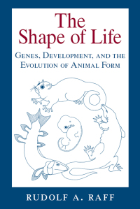 Cover image: The Shape of Life 1st edition 9780226702650