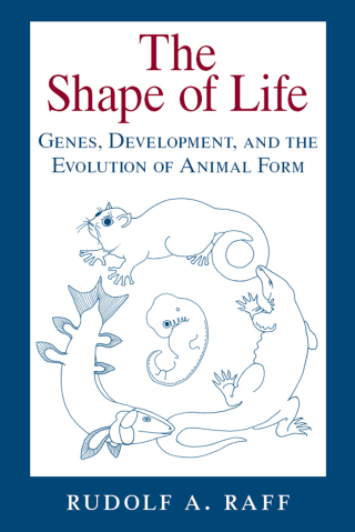 表紙画像: The Shape of Life 1st edition 9780226702650