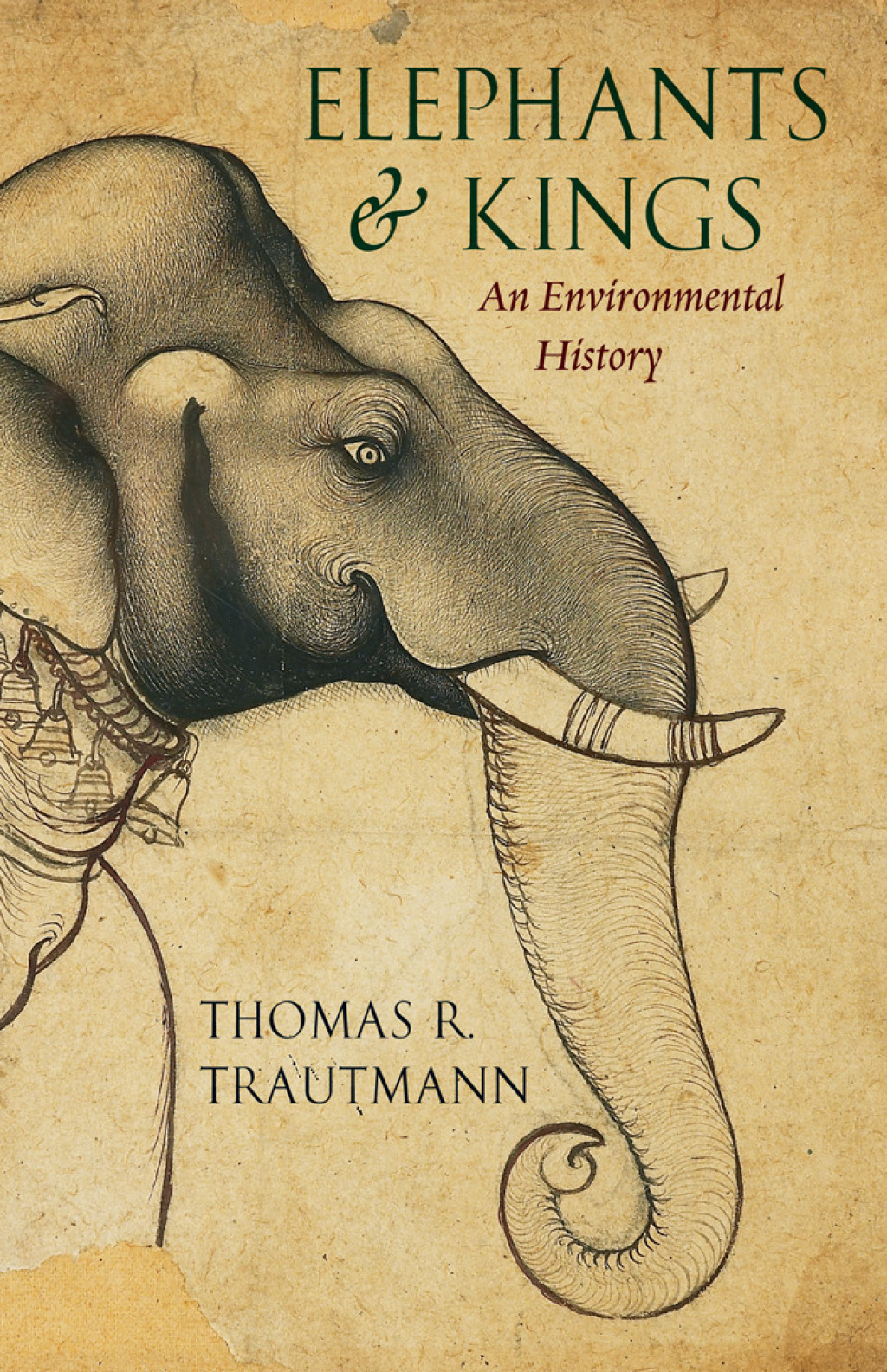 Elephants and Kings An Environmental History 1st Edition