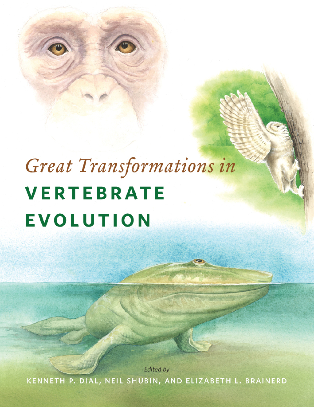Great Transformations in Vertebrate Evolution 1st Edition