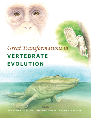 Cover image: Great Transformations in Vertebrate Evolution 1st edition 9780226268118