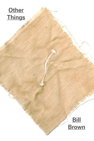 Cover image: Other Things 1st edition 9780226076652