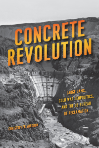 表紙画像: Concrete Revolution 1st edition 9780226284316