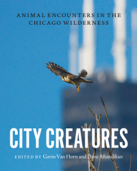 صورة الغلاف: City Creatures 1st edition 9780226192895