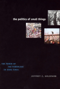 Cover image: The Politics of Small Things 1st edition 9780226301099