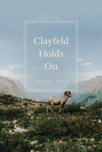 Cover image: Clayfeld Holds On 1st edition 9780226303420