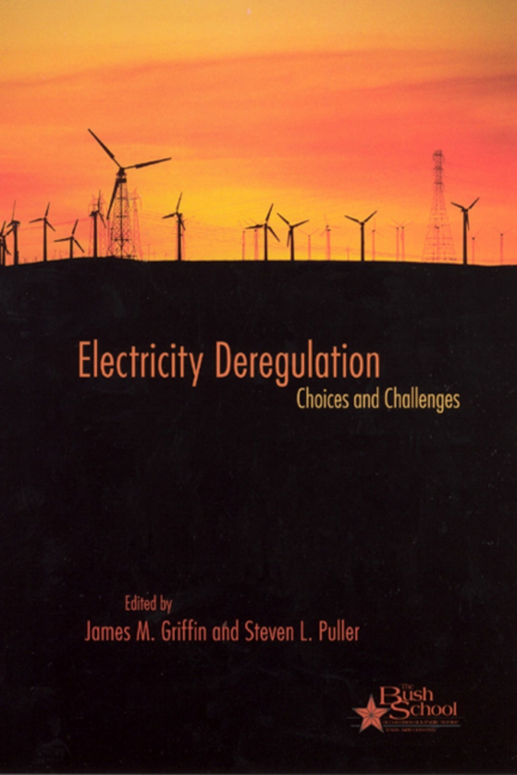 Electricity Deregulation Choices and Challenges 1st Edition