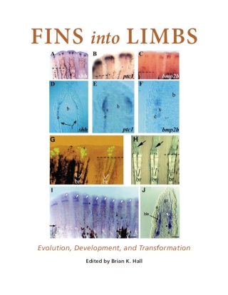 Cover image: Fins into Limbs 1st edition 9780226313368