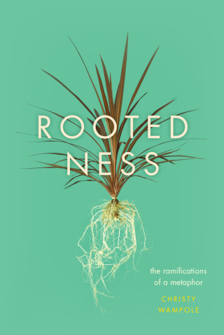Cover image: Rootedness 1st edition 9780226317656