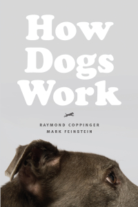 Cover image: How Dogs Work 1st edition 9780226128139