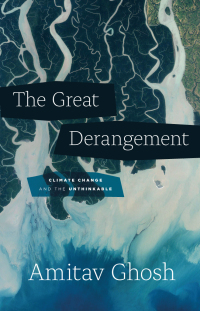 Cover image: The Great Derangement 1st edition 9780226323039