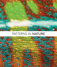 Cover image: Patterns in Nature 1st edition 9780226332420