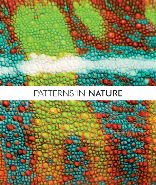 Cover image: Patterns in Nature 1st edition 9780226332420